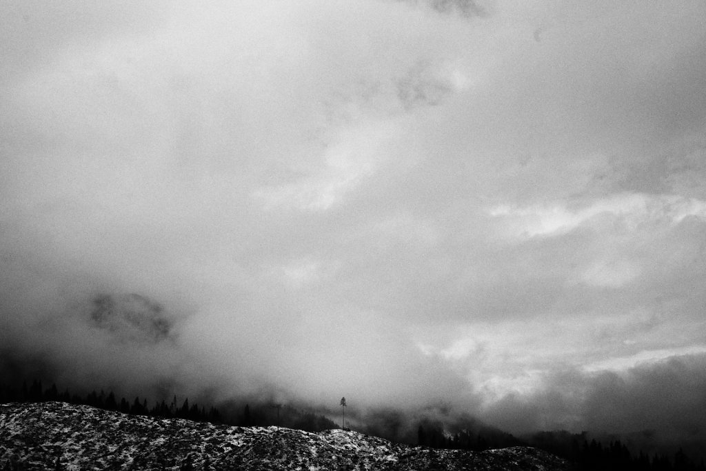 L1008769.jpg